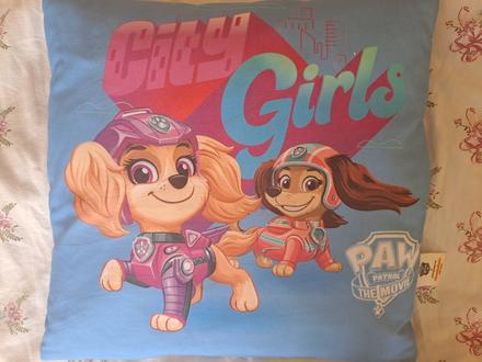 Vankúš labkovej patroly,