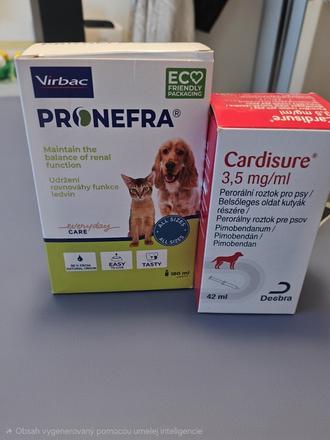 Pronefra a cardisure,