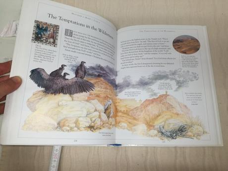 Dk the children's illustrated bible au19, 