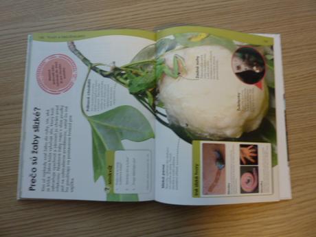 Kniha-prečo zvieratá, 