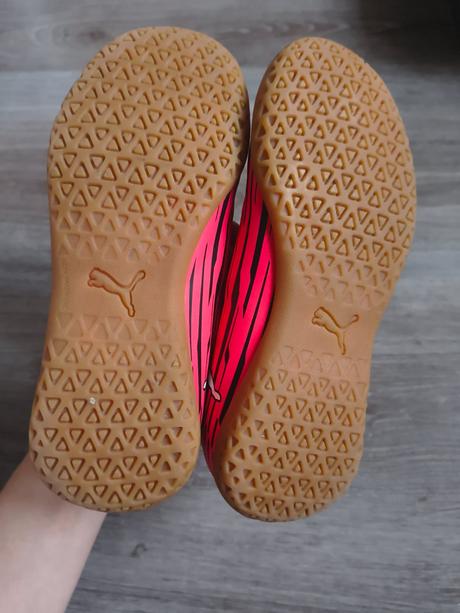 Halovky, puma,31