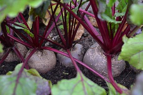 Semienka - zdravý balíček,