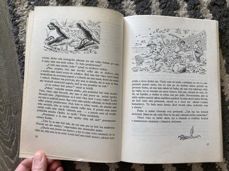 Utečenec na vtáčom strome-prvé vyd.1982,