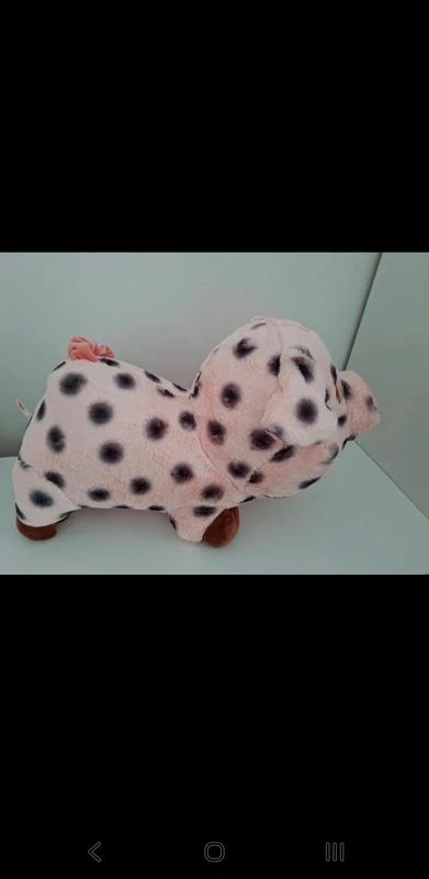 Prasiatko 60cm,