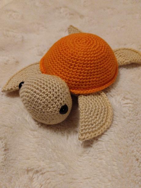 Hackovana korytnacka, 