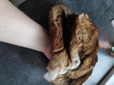 Ciapka panska kralik, l