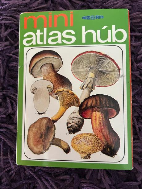 Mini atlas húb,