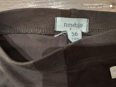 Legíny newbie, newbie,56