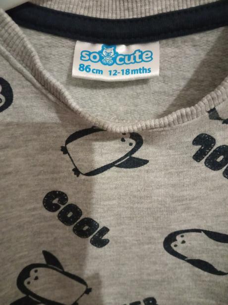 Pinguin tučniak tepláky a mikiny, pepco,86