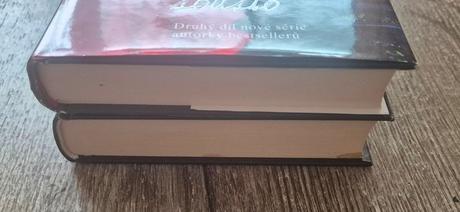 Meg cabot - nenásytná , příliš velké sousto, 