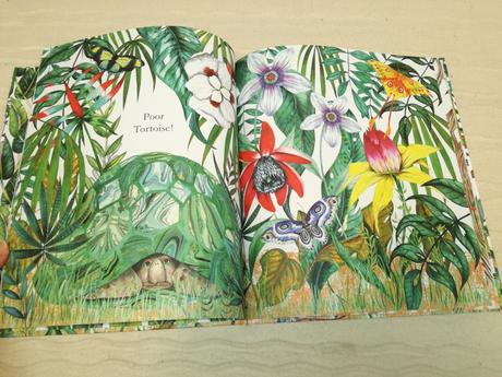 Naomi howarth tug of war nsu21,