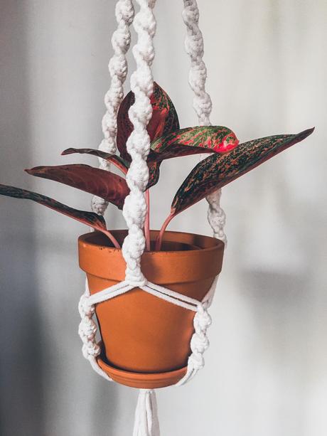 Macramé kvetináče, 