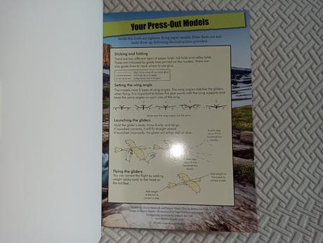 Press out flying dragons  18 modelov, 