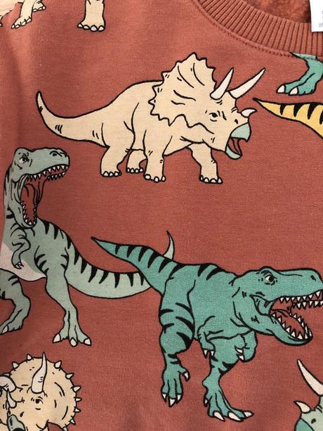 Mikina s dinosaurami, lindex,104