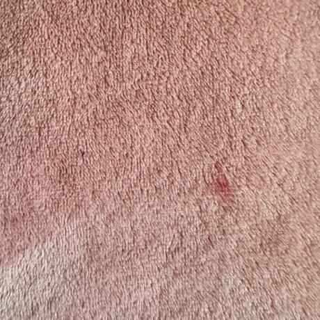 Tepláková súprava, f&f,146