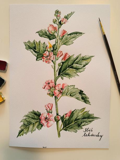 Akvarelové kvety obraz,