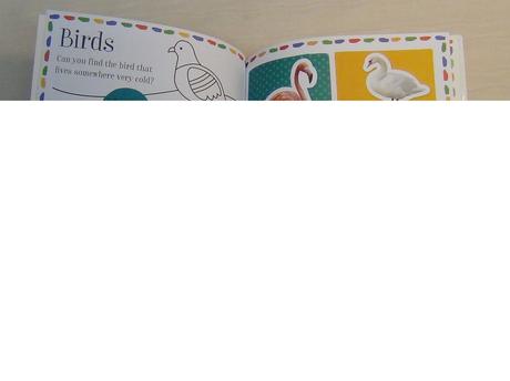 100 animal words activity + stickers nsp18,