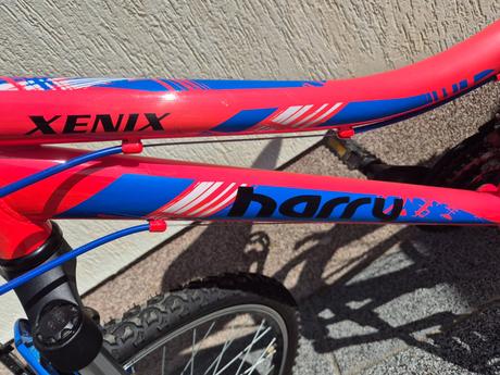 Bicykel harry xenix, harry,24