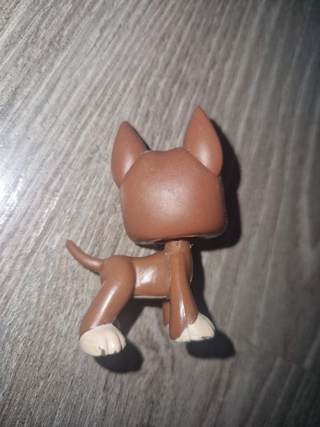 Littlest pet shop doga 1519, 