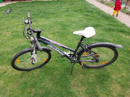 Bicykel, author,24