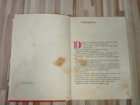 Božena mačingová - danuška,