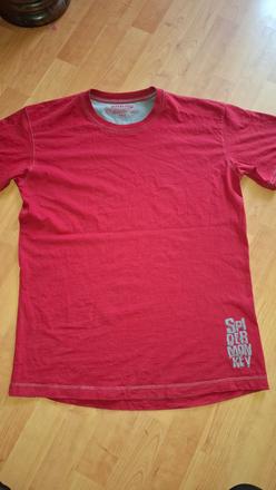 Panske tričko, alpine pro,l