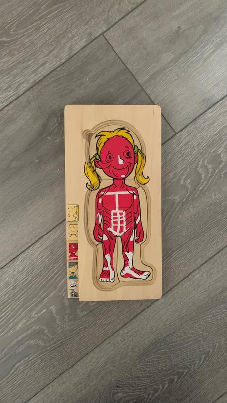 Drevené puzzle / vkladačka goki - ľudské telo, 