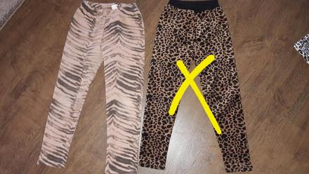 Zateplene leginy, 122