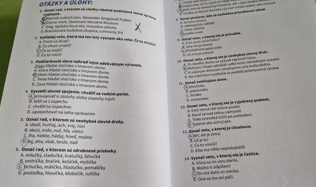 Príprava na strednú školu zo slovenčiny,