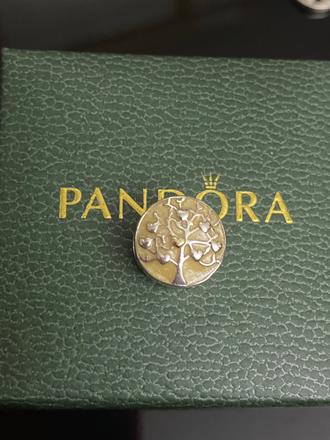 Pandora koralka strom rodiny, pandora