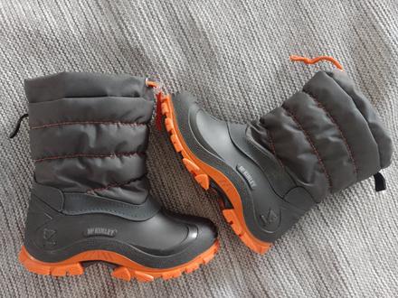 Snehule mckinley jules, mckinley,29