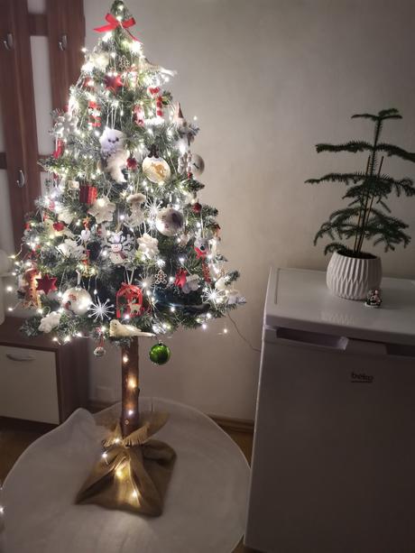 Stromček na pníku, 