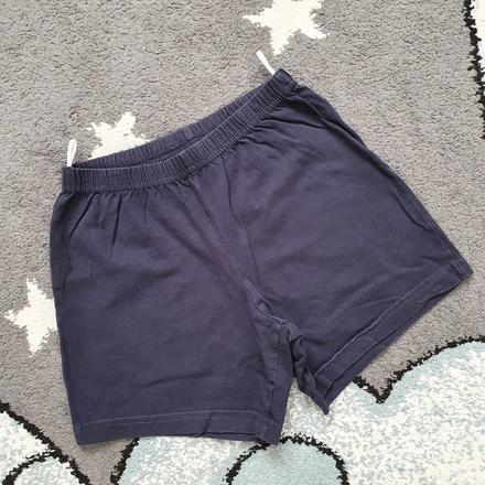 Sortky 116, palomino,116