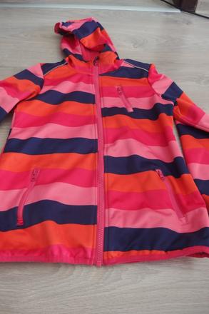 Pásiky sofshelka, 146