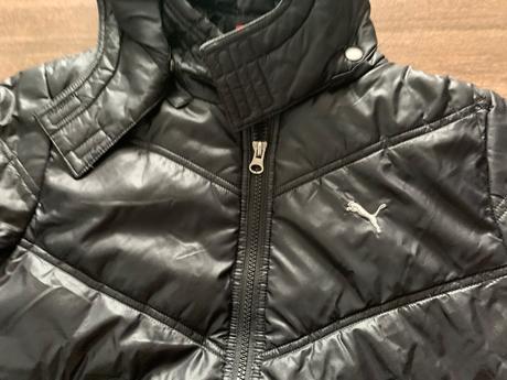 Bunda, puma,152