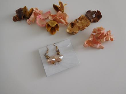 Motýle sklenené náučnice, 