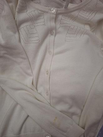 Svetrík, coccodrillo,158