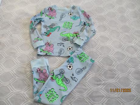 Pyžamko s dinosaurami, 110