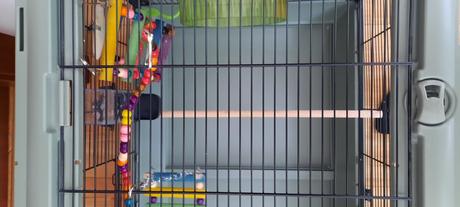 Klietka pre vtaciky, 