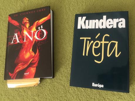 Knihy - rozne feng shui, kundera, dan brown, mafia,