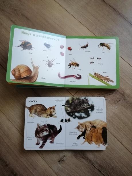 Mojich prvých 100 zvierat,