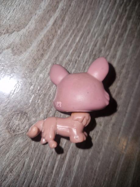 Littlest pet shop corgi, 