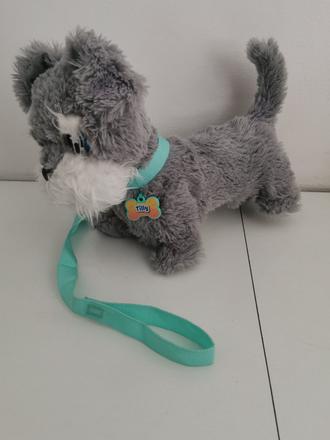 Chodiaci a stekajuci psik tilly, 