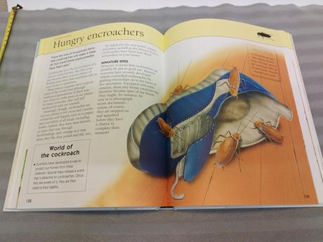 Bugs the encyclopedia of creepy-crawlies sp23, 