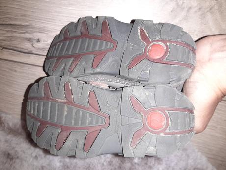 Celokožené elefanten, elefanten,24