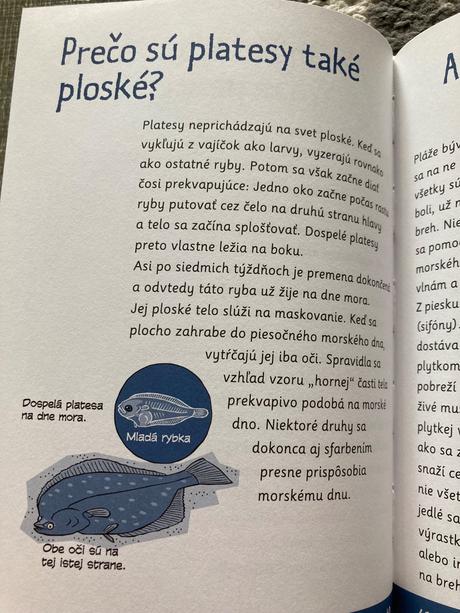 Svet okolo nás zvieratá a rastliny,