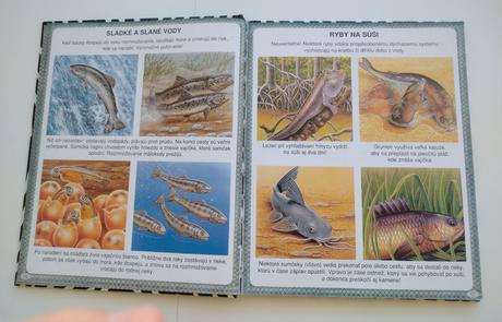 Obrázky rekordov zvierat, 