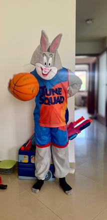 Kostým bugs bunny,