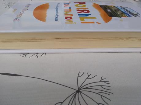 Potrhlí troutmanovi - miriam toewsová, 