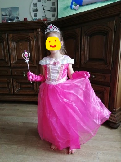 Šípková rúženka kostým - ihneď k odberu, 